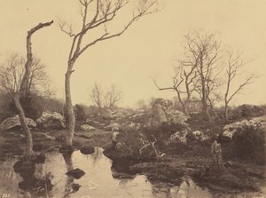 Belle Croix, 1858 circa (foto) da Eugène Cuvelier