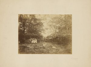 [Studio sul paesaggio] da Eugène Cuvelier