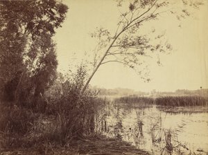 Marais de Fampoux, inizio anni 1860 (foto) da Eugène Cuvelier