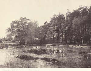 Palude a Piat (Pianoro di Belle-Croix) da Eugène Cuvelier