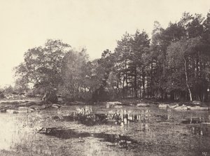 Palude a Piat Belle-Croix Plateau da Eugène Cuvelier
