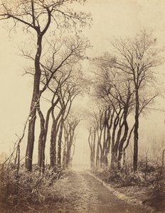 Strada e alberi con brina da Eugène Cuvelier