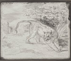 Una tigre intrappolata da Eugène Delacroix