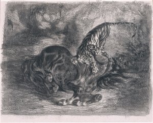 Cavallo selvaggio abbattuto da una tigre da Ferdinand Victor Eugene Delacroix
