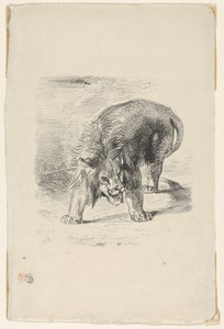 Leone in piedi, 1833 da Eugène Delacroix