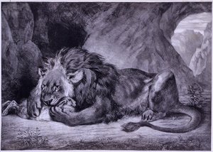 Leone dell