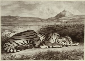 Tigre Reale da Eugène Delacroix