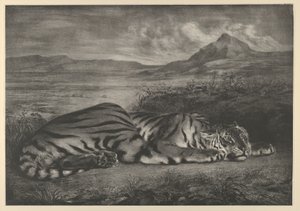 Tigre Reale, 1829