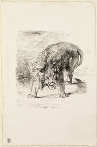 Leone in piedi da Eugène Delacroix