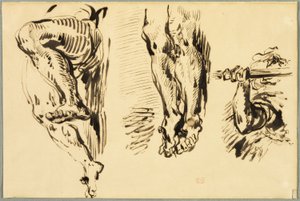 Studio di Braccia e Gambe di Cristo Crocifisso da Eugène Delacroix