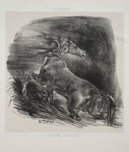 Il Cavallo Selvaggio, o Cavallo Spaventato che Lascia l