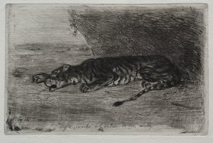 Tigre che dorme all