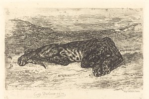Tigre che Dorme nel Deserto da Eugène Delacroix