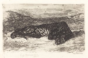 Tigre che Dorme nel Deserto, c. 1830 da Eugène Delacroix