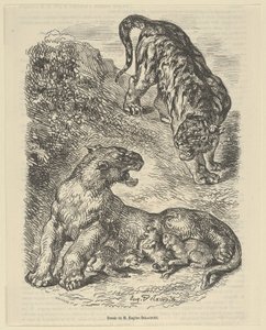 Tigre attaccata da una tigre mentre allatta i suoi piccoli, 1853 da Eugène Delacroix