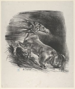 Cavallo selvaggio, 1828