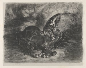 Cavallo selvaggio abbattuto da una tigre da Eugène Delacroix