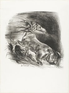 Cavallo selvaggio, o cavallo spaventato che lascia l