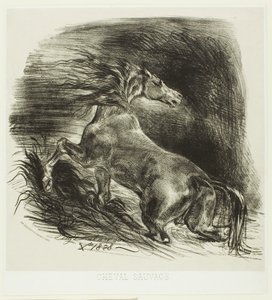 Cavallo Selvaggio o Cavallo Spaventato che Lascia l