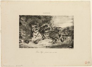 Giovane tigre che gioca con la madre