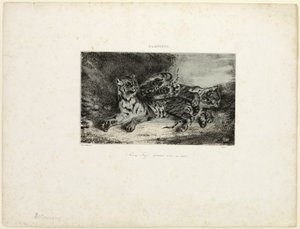 Giovane tigre che gioca con la madre da Eugène Delacroix