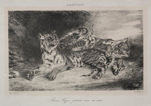 Giovane tigre che gioca con la madre
