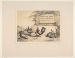 Frontespizio con galline, conigli e una colomba (Diverse dieren, Études d