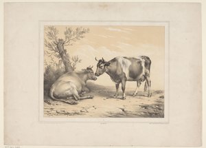 Due mucche (Diverse animali domestici) (Treize sujets d