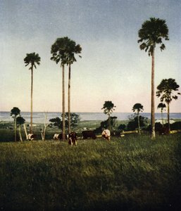 Australia, Illawarra da European Photographer