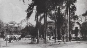 Brasile: San Paolo, Jardim da Luz (foto b/n) da European Photographer