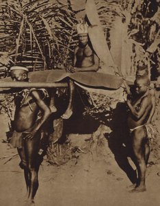 Capo di una tribù di pigmei africani portato su una lettiga (foto b/n) da European Photographer