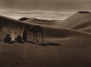Sera nel Deserto