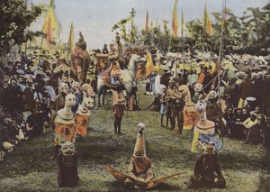 Festa del Maqui, Genio