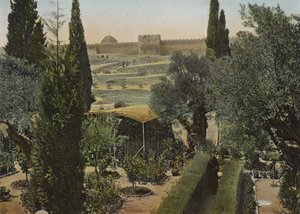 Giardino del Getsemani