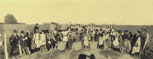Vendemmia nei vigneti di Vina Lontue, Santiago, Cile da European Photographer