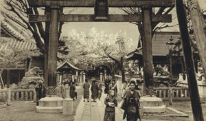 Giappone, Strada a Tokyo, periodo della fioritura dei ciliegi da European Photographer