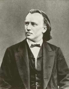Johannes Brahms, ritratto, c. 1876