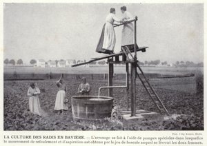 La coltivazione dei ravanelli in Baviera da European Photographer