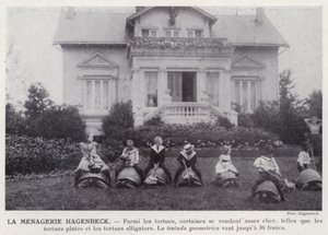 La Menagerie Hagenbeck