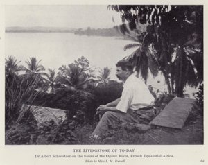Il Livingstone di oggi
