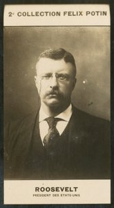 Theodore Roosevelt, Presidente degli Stati Uniti