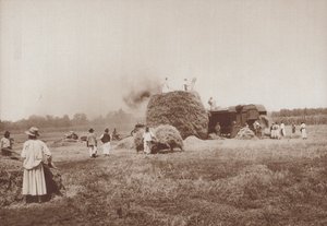 Trebbiare il grano sull