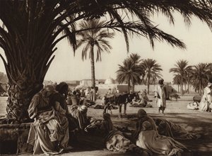 Oasi di Touggourt