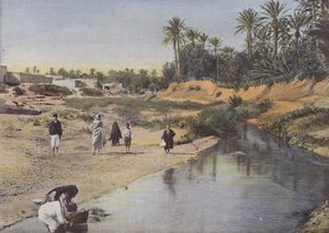 Vista delle rive dell