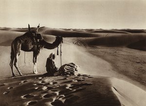 Adorazione nel deserto