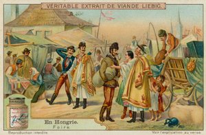 Una fiera ungherese da European School
