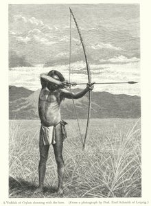 Un Veddah di Ceylon che tira con l