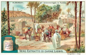 Un caravanserraglio in Tunisia da European School