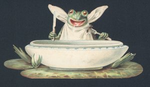 Una rana che mangia una mosca (litografia a colori) da European School