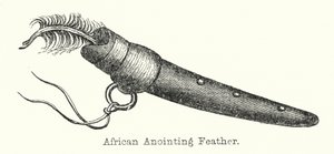 Piuma per unzioni africana (incisione)